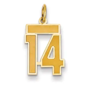 14k Yellow Gold Satin Brush Finish Small Size Number 14 Charm Pendant