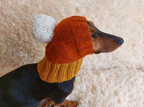 Candy Corn Dog Hat,hat for dog popcorn, halloween hat for dog popcorn, hat for dachshund popcorn