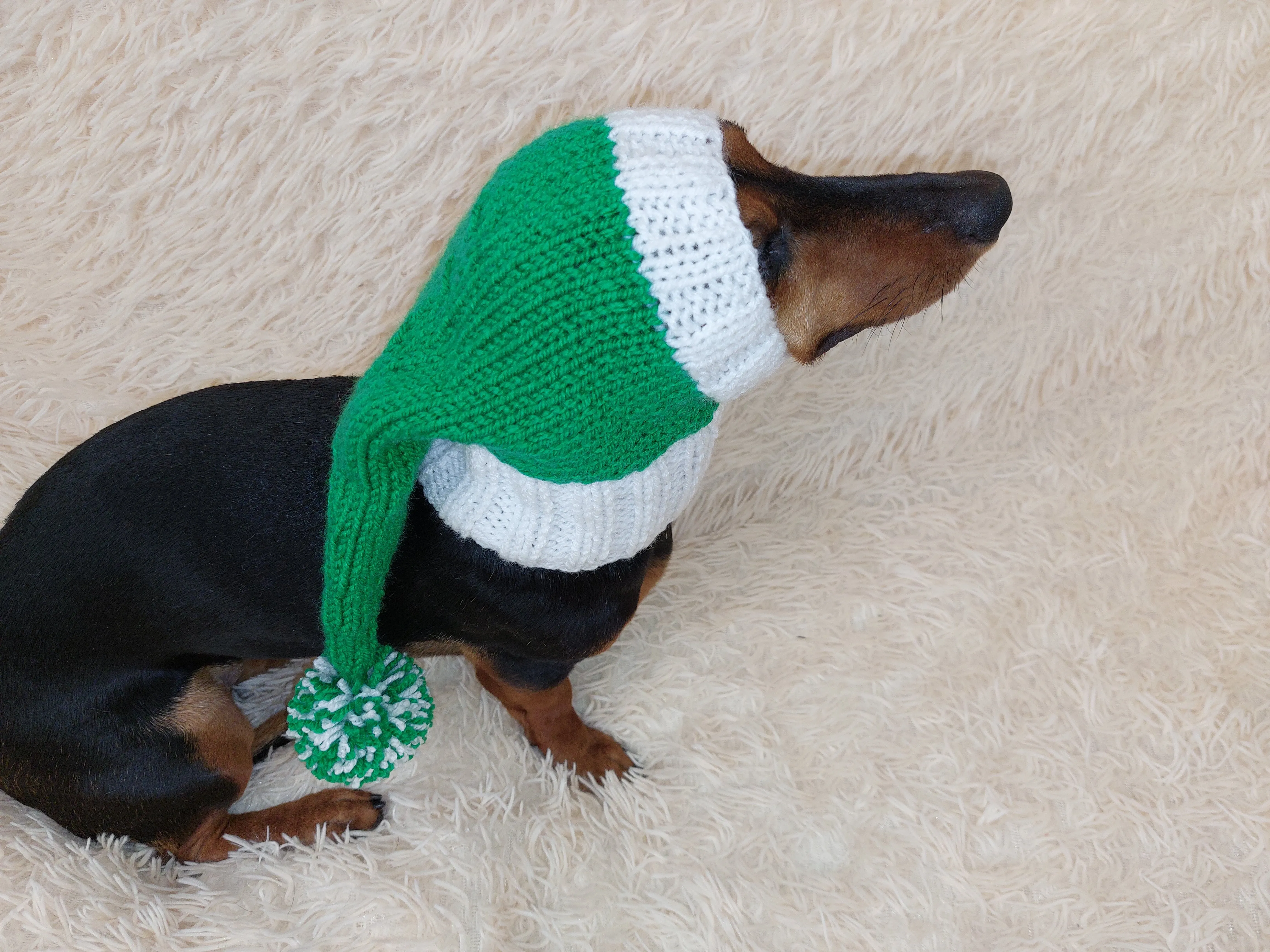 Wiener Knitted Elf Hat with Pompom, hat elf for dachshund