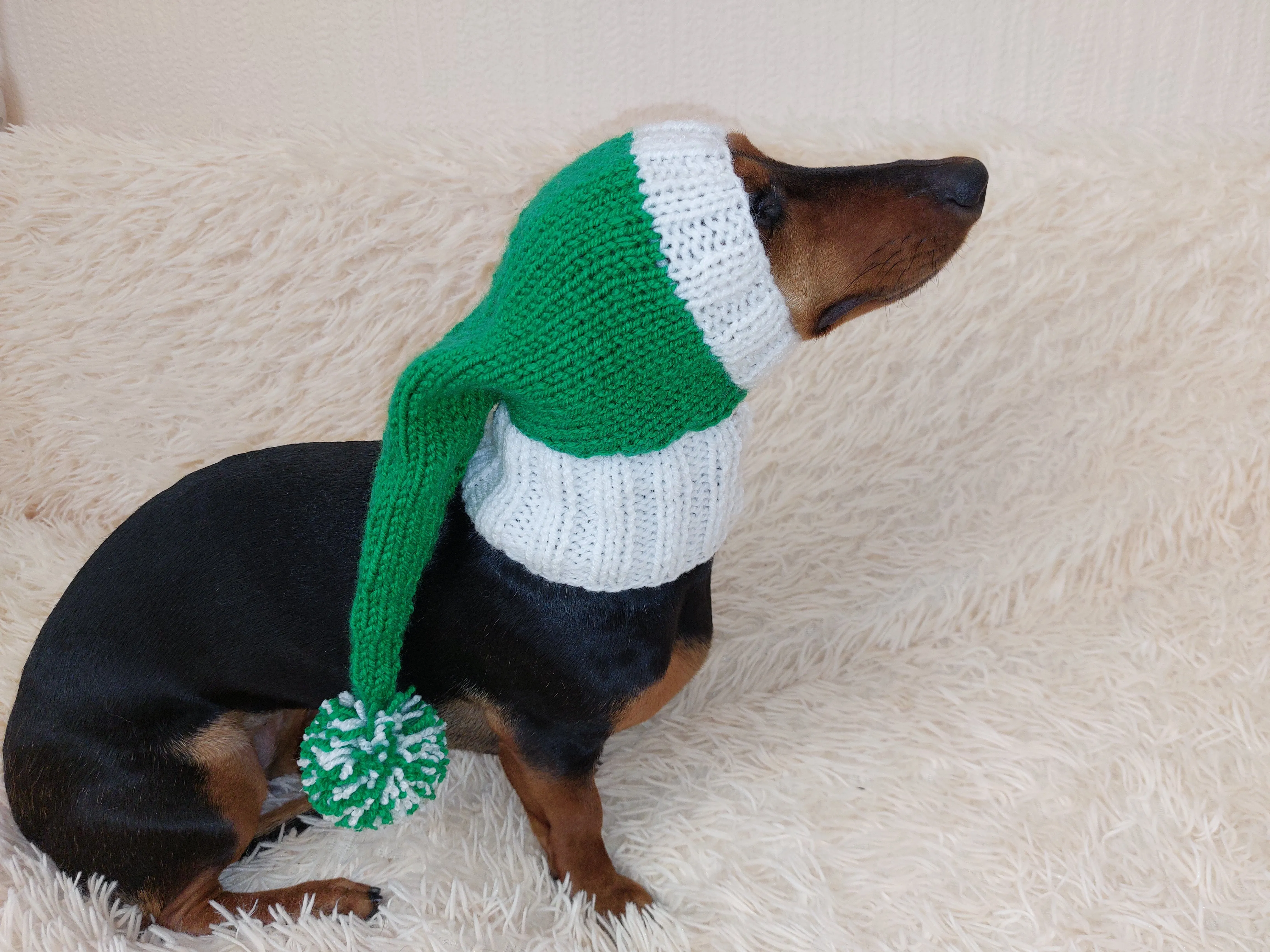 Wiener Knitted Elf Hat with Pompom, hat elf for dachshund